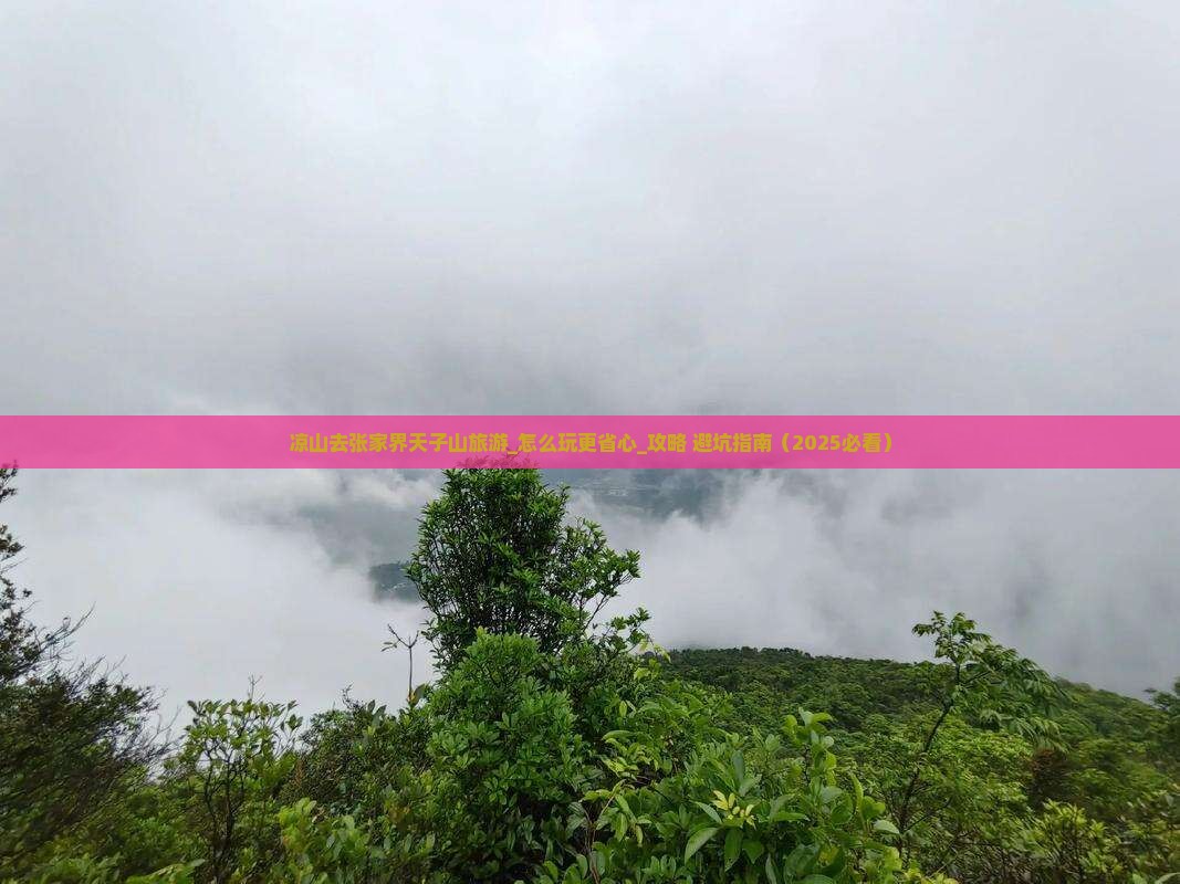 凉山去张家界天子山旅游