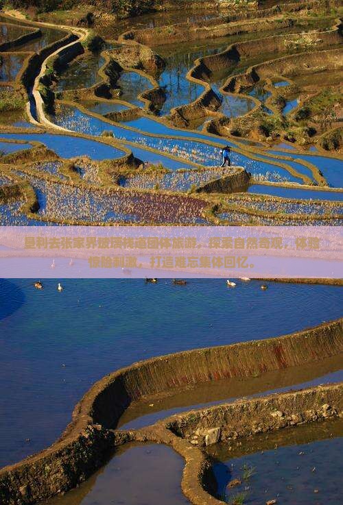 垦利去张家界玻璃栈道团体旅游