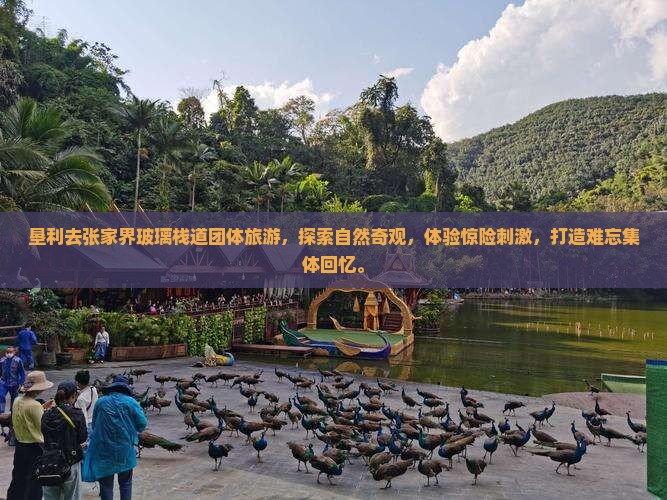 垦利去张家界玻璃栈道团体旅游