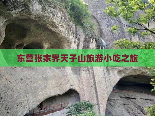 东营到张家界天子山旅游小吃
