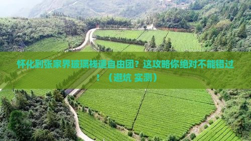 怀化到张家界玻璃栈道自由团