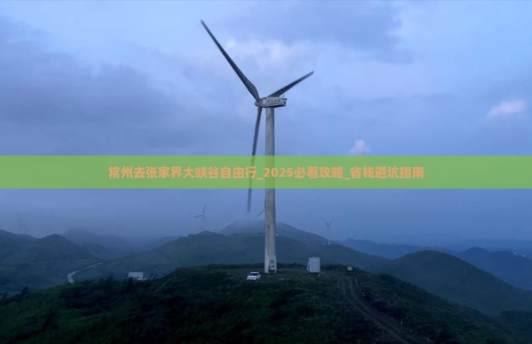 常州去张家界大峡谷自由行
