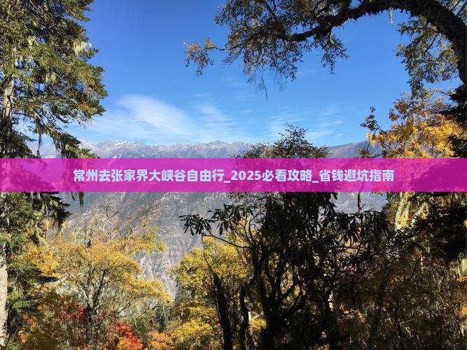 常州去张家界大峡谷自由行