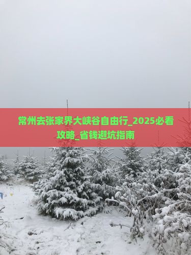常州去张家界大峡谷自由行
