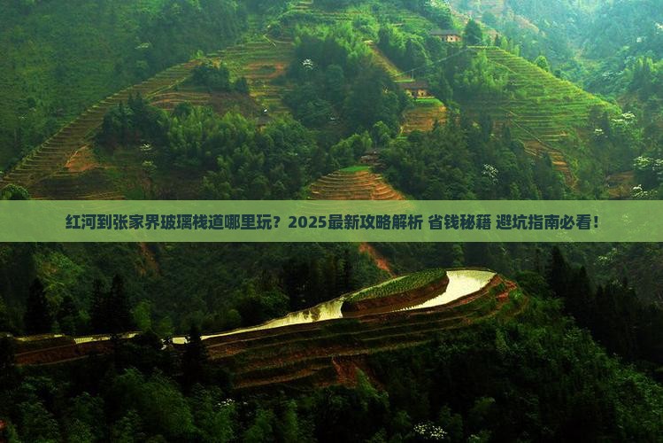红河到张家界玻璃栈道哪里玩