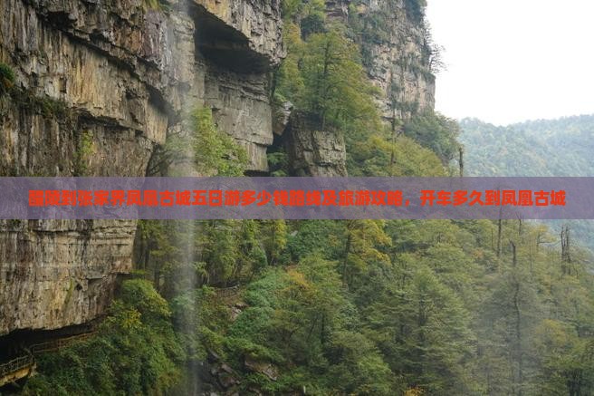 醴陵到张家界凤凰古城五日游