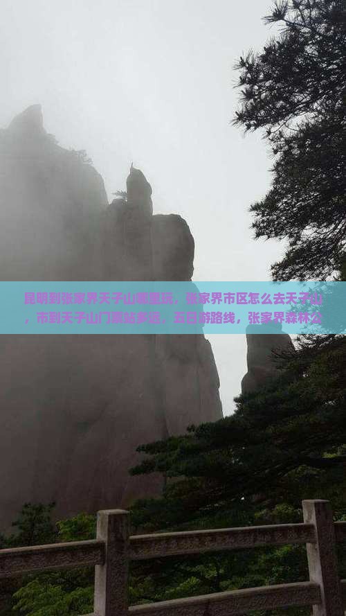 昆明到张家界天子山哪里玩