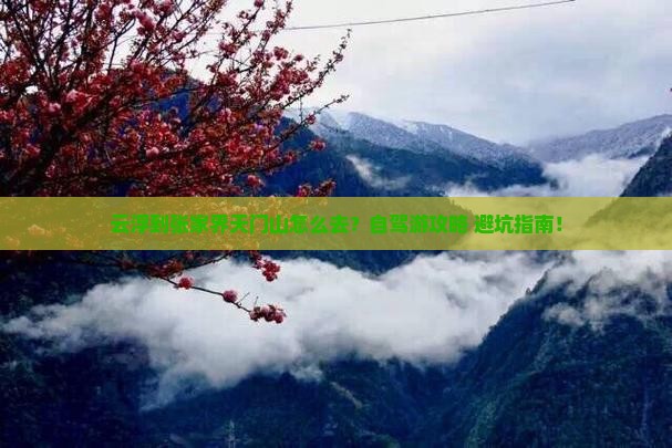 云浮到张家界天门山旅游