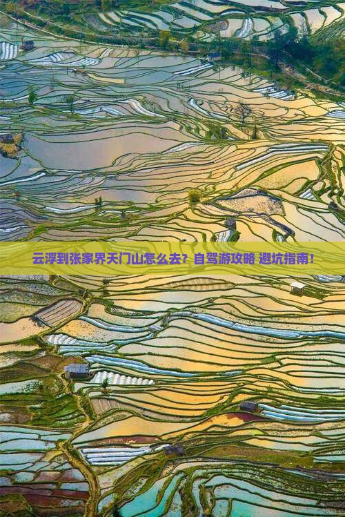 云浮到张家界天门山旅游