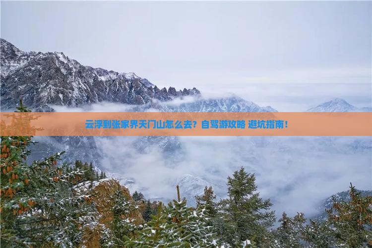 云浮到张家界天门山旅游
