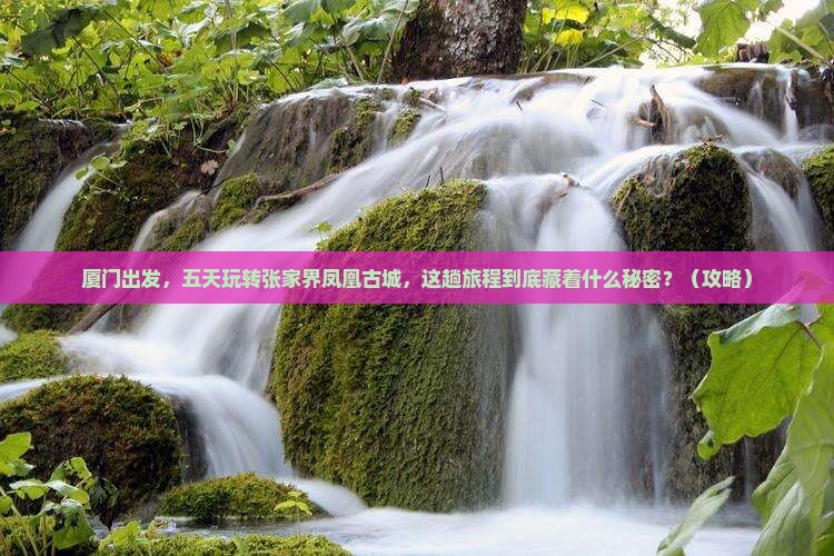 厦门去张家界凤凰古城五日游