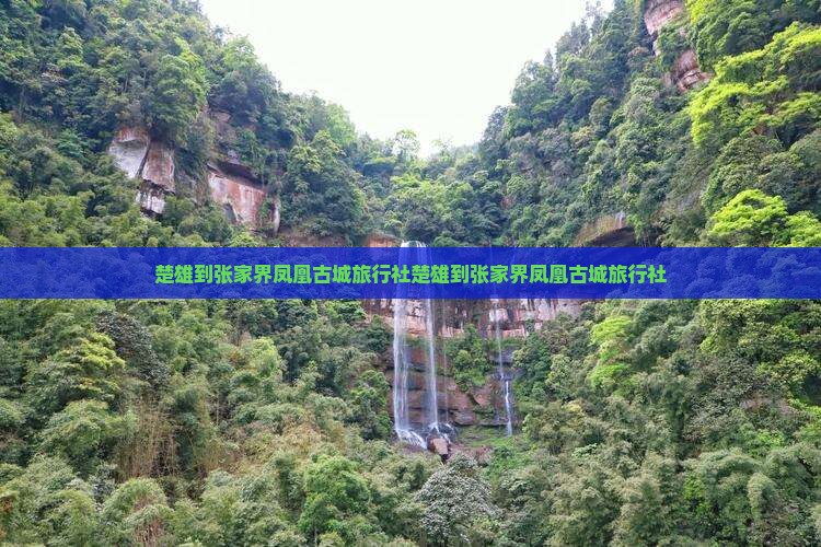 楚雄到张家界凤凰古城旅行社