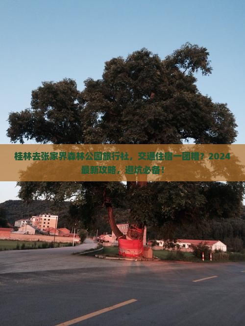 桂林去张家界森林公园旅行社