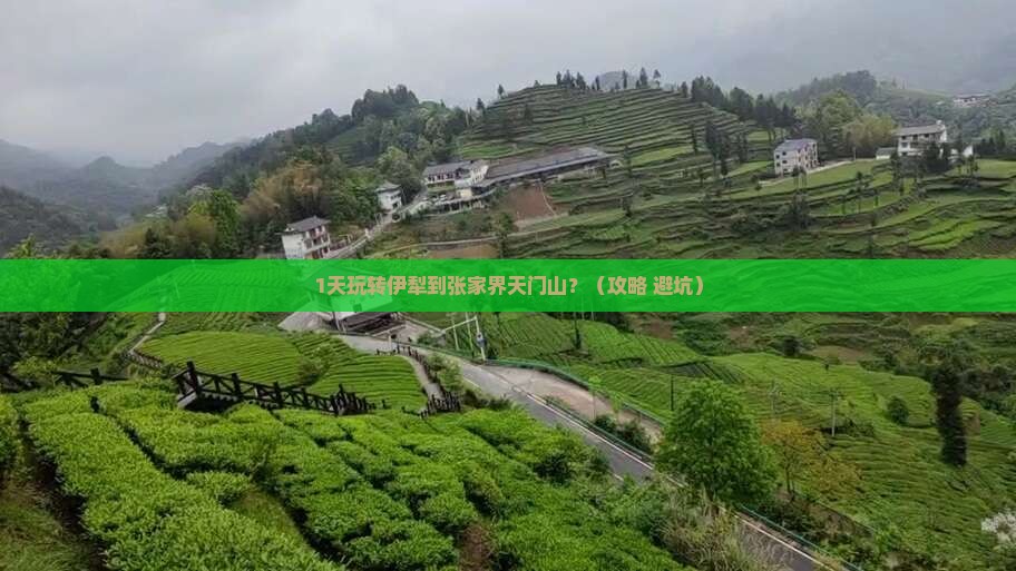 伊犁到张家界天门山一日