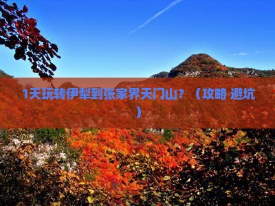 伊犁到张家界天门山一日