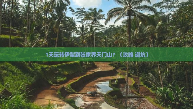 伊犁到张家界天门山一日
