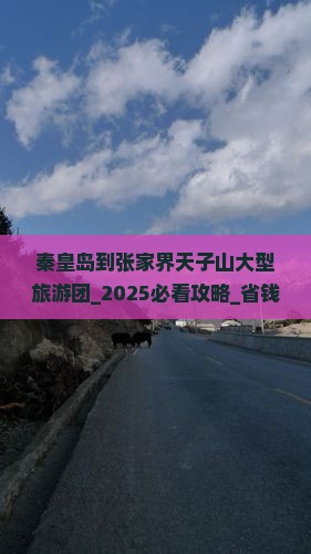 秦皇岛到张家界天子山大型旅游团