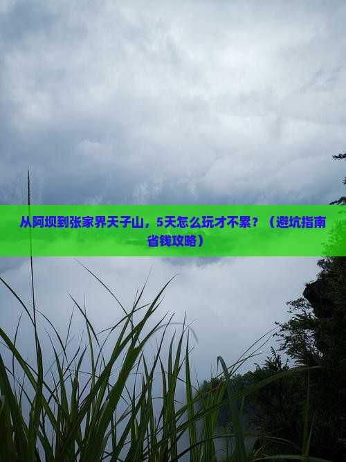 阿坝去张家界天子山自由行