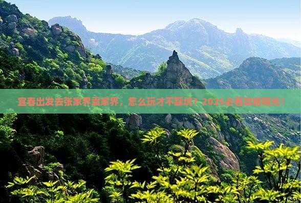 宜春去张家界袁家界旅行社