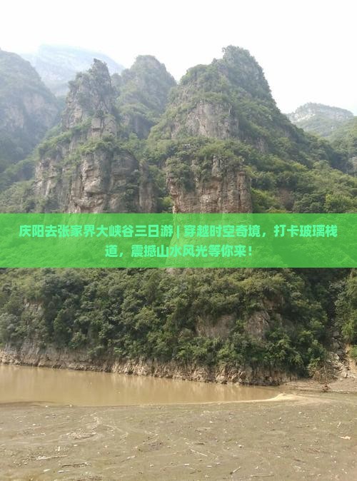 庆阳去张家界大峡谷三日游
