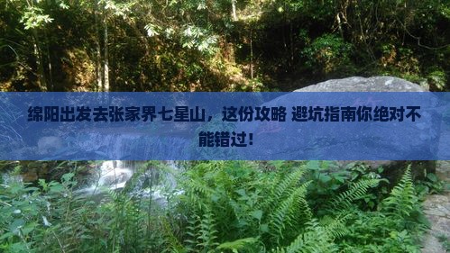 绵阳到张家界七星山旅行社