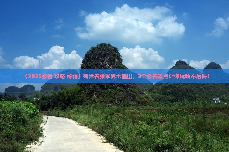 菏泽去张家界七星山哪里玩