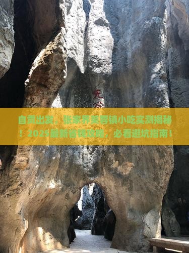 自贡到张家界芙蓉镇旅游小吃