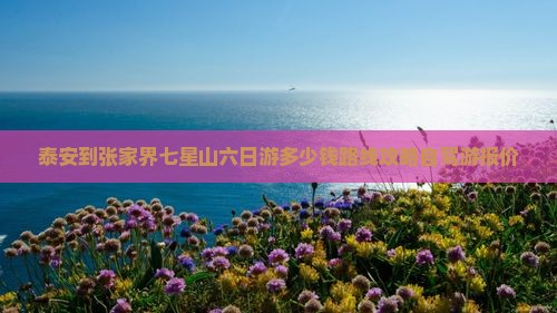 泰安到张家界七星山六日游