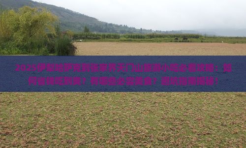 伊犁哈萨克到张家界天门山旅游小吃
