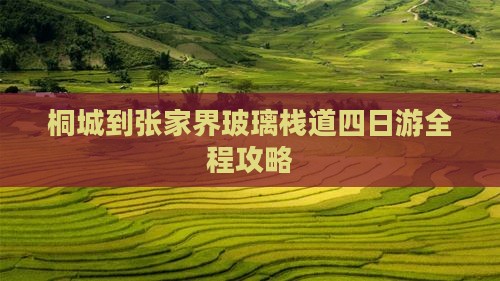桐城到张家界玻璃栈道四日游
