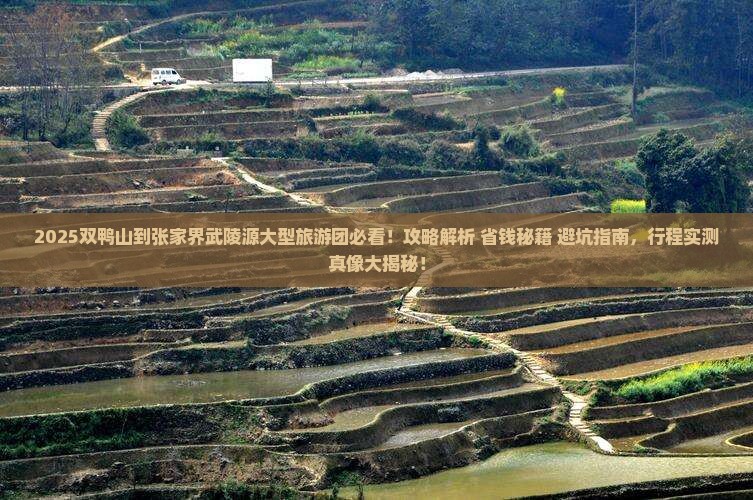 双鸭山到张家界武陵源大型旅游团
