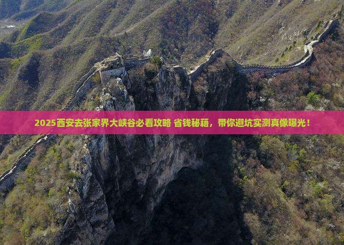 西安去张家界大峡谷旅行社