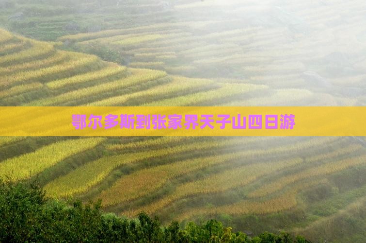 鄂尔多斯到张家界天子山四日游