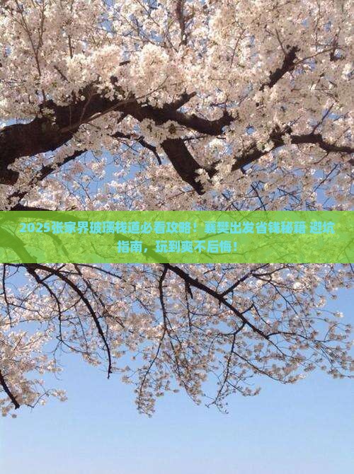 襄樊去张家界玻璃栈道哪里玩