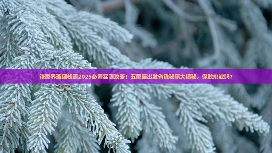 五家渠到张家界玻璃栈道团体旅游