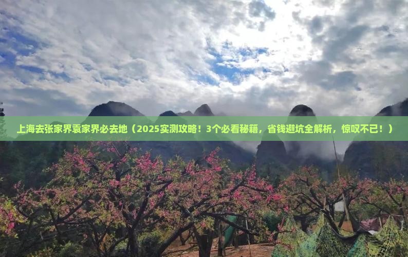 上海去张家界袁家界必去地