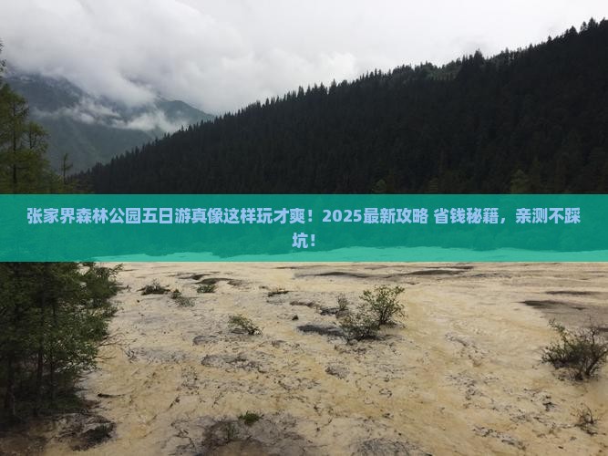 商洛到张家界森林公园五日游