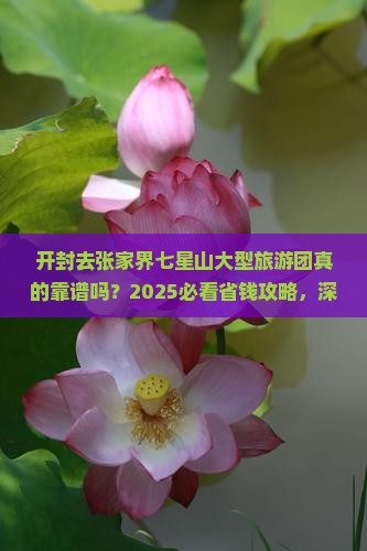 开封去张家界七星山大型旅游团
