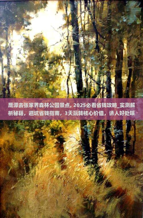 鹰潭去张家界森林公园景点
