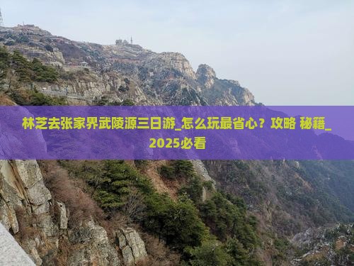 林芝去张家界武陵源三日游