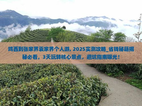 鸡西到张家界袁家界个人游