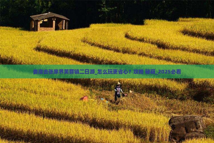 娄底去张家界芙蓉镇二日游