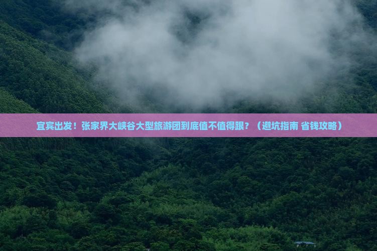 宜宾去张家界大峡谷大型旅游团