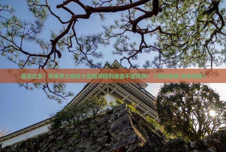 宜宾去张家界大峡谷大型旅游团