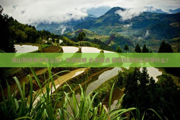 凉山到张家界旅行社