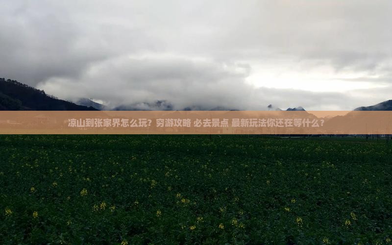 凉山到张家界旅行社