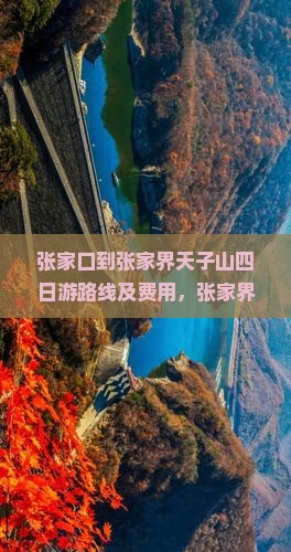 张家口到张家界天子山四日游