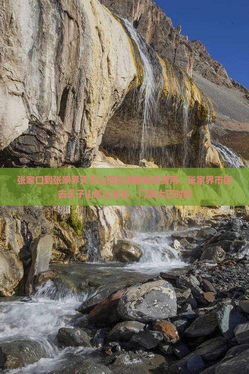 张家口到张家界天子山四日游