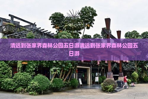 清远到张家界森林公园五日游 清远到张家界森林公园五日游