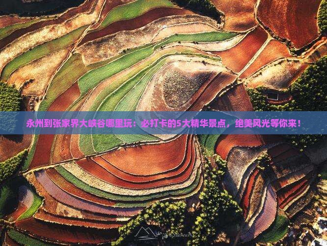 永州到张家界大峡谷哪里玩